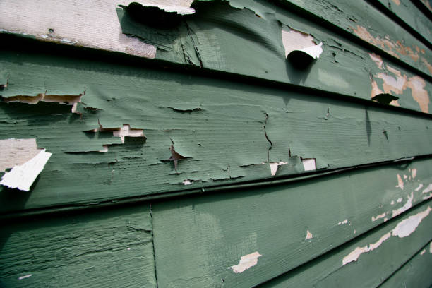 Best Insulated Siding Installation  in Juneau, AK